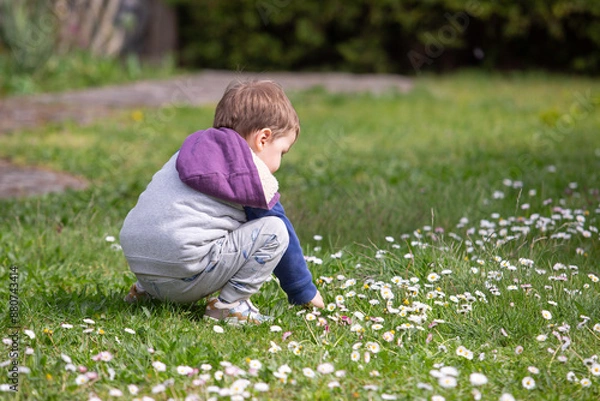 Obraz Kleinkind zwischen Gänseblümchen