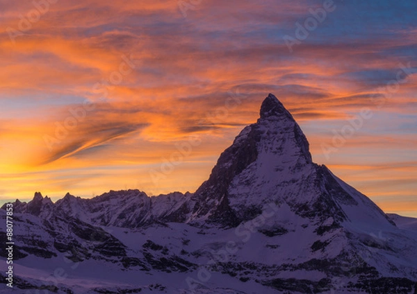 Fototapeta OLYMPUS DIGITAL CAMERA