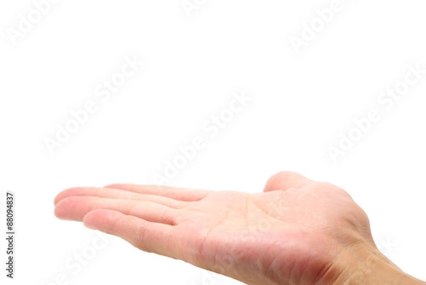 Fototapeta 手のひら