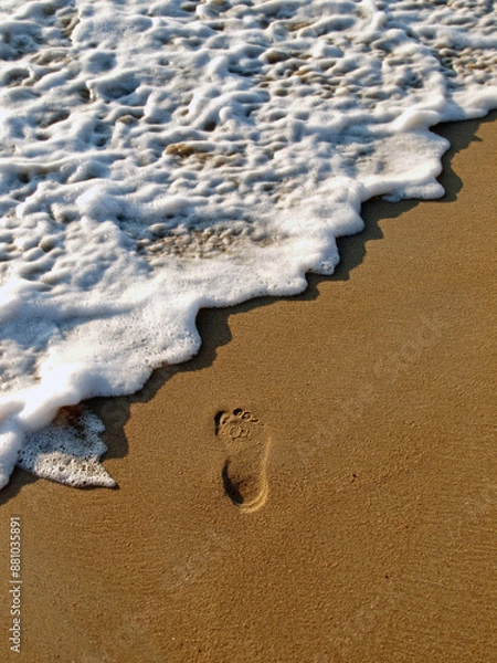 Obraz Footprint on the Beach