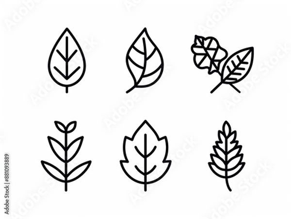 Fototapeta set of leaves silhouettes