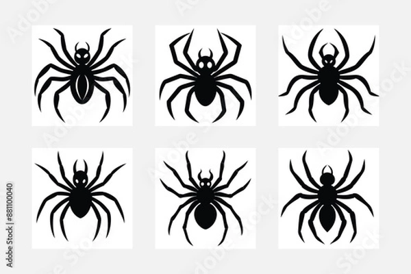 Obraz set of black and white Spider