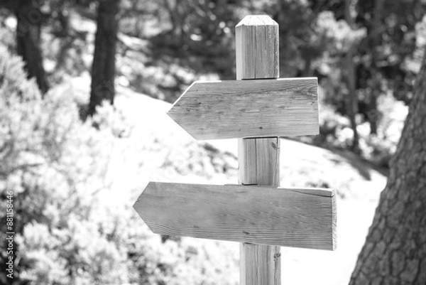 Fototapeta sign post made of wood with two arrows in the forest in black and white