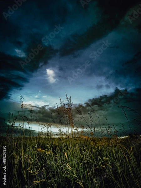 Obraz sunset over the field