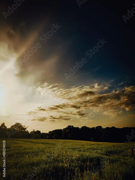 Obraz sunset in the field