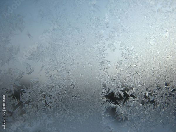 Obraz frozen winter window