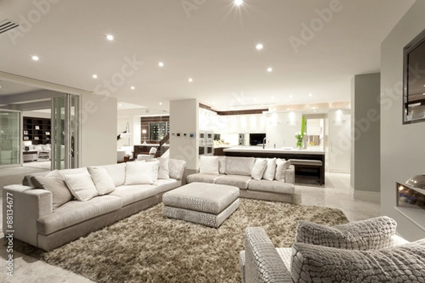 Obraz Cozy living room with spacious sofas