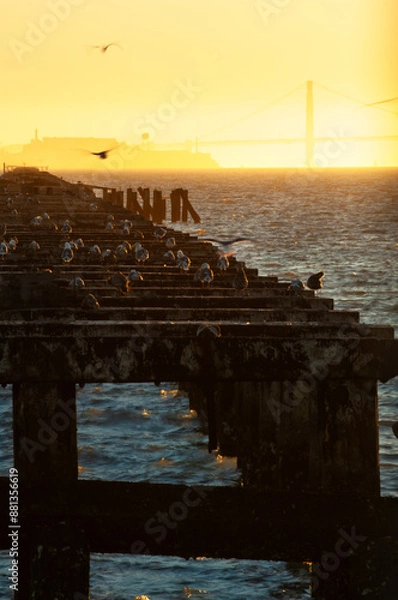 Obraz Gulls on Pier at Sunset