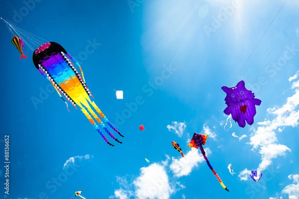 Obraz Various kites flying on the sky