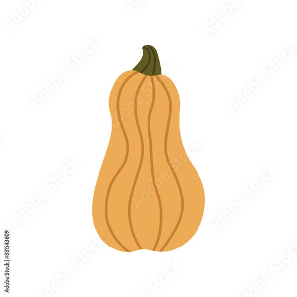 Fototapeta Vector isolated element. Pumpkin. Autumn time. Harvesting. Halloween. Color image on a white background. The print is used for packaging design.