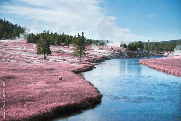 Obraz Pink river valley