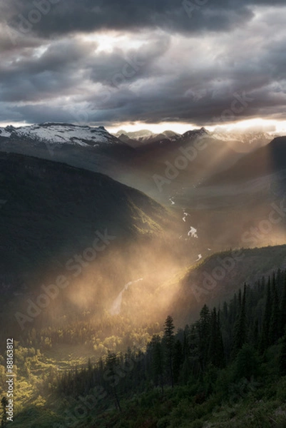 Obraz Light go through rain