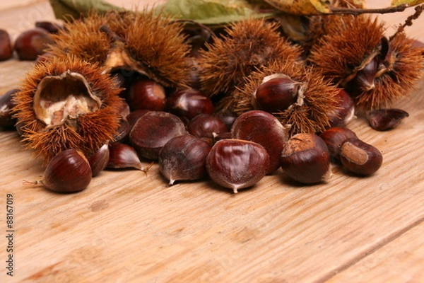 Fototapeta Esskastanien