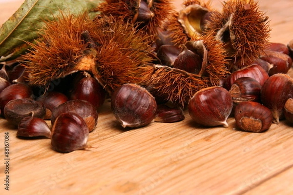 Fototapeta Esskastanien