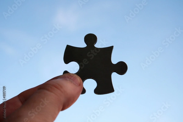 Obraz solution