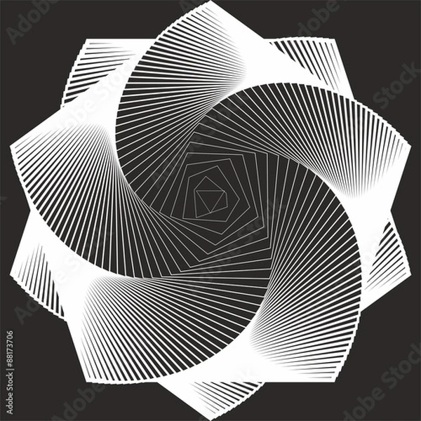 Obraz Genuine spinning monochrome rosette 2