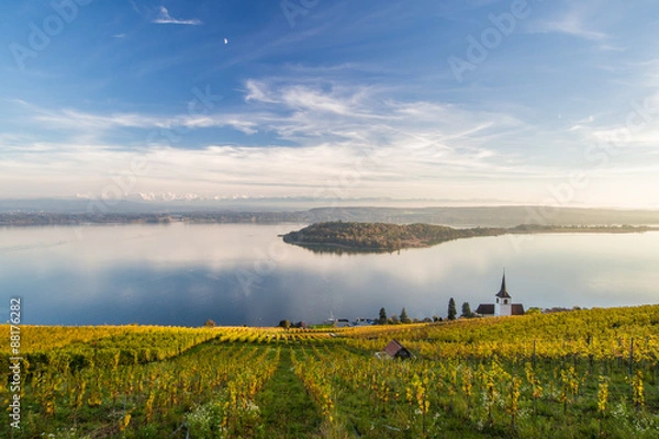 Fototapeta OLYMPUS DIGITAL CAMERA