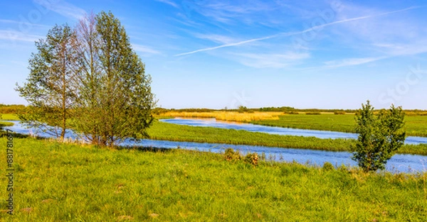 Fototapeta Panoramic view of Biebrza river and Biebrzanski National Park grassy wetlands seen from Burzyn village near Wizna town in Podlaskie region of Poland