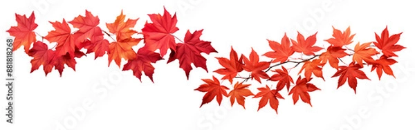 Fototapeta Cluster of red maple leaves with autumn hues isolated on transparent background