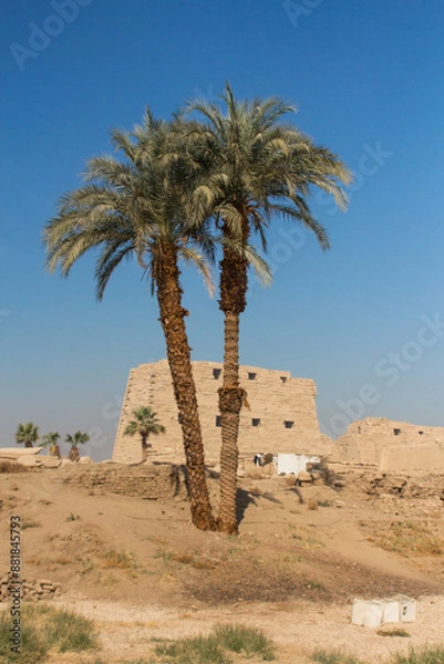 Obraz oasis in the desert. Egypt