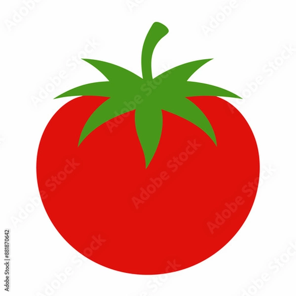 Fototapeta red tomato illustration vector design art on a white background 