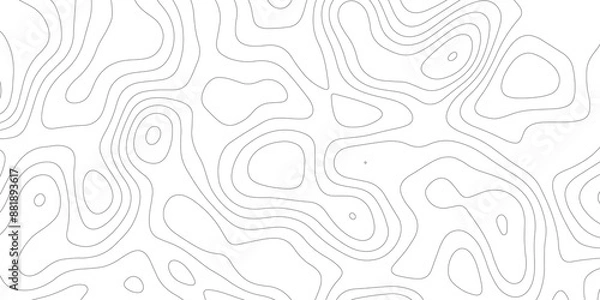 Fototapeta Lines Topographic contour lines vector map seamless pattern. White texture for your perfect interior. Abstract white paint floor stamped concrete surface pattern circle rough gray.