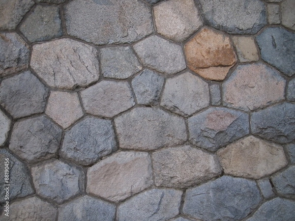 Fototapeta OLYMPUS DIGITAL CAMERA