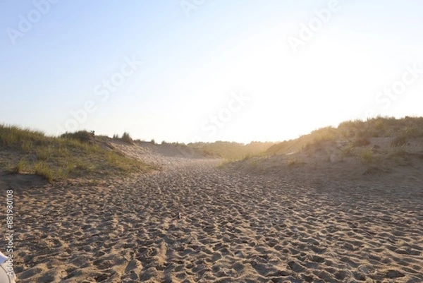 Obraz landscape in the field