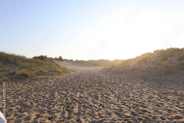 Obraz autumn in the field