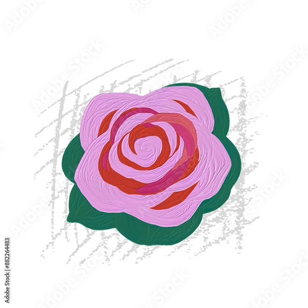 Fototapeta pink rose