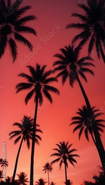 Fototapeta Silhouettes of palm trees stood against the tropical horizon Summer sunset painted the sky red Some clouds in the paradise scene
