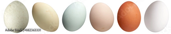 Fototapeta Colourful eggs collection - Ready to use Premium PNG Cutout Isolated image