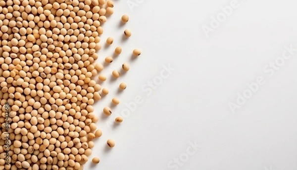 Obraz soy beans on border side on plain white background copyspace banner 