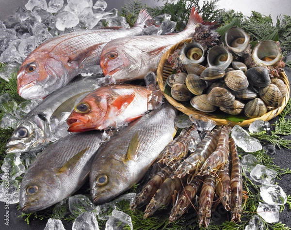 Obraz Kolekcja świeżych ryb