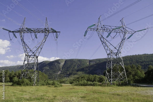 Obraz Power Line