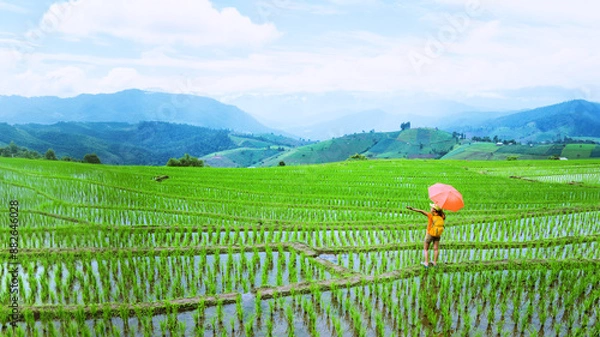 Fototapeta A girl with a backpack walking on a rice field While holding an umbrella in his hand. Traveling in the rainy season. Travel backpack