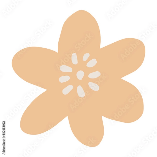 Obraz Boho Floral Element Cute