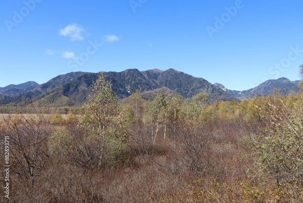 Fototapeta 秋の日光の風景。戦場ヶ原。