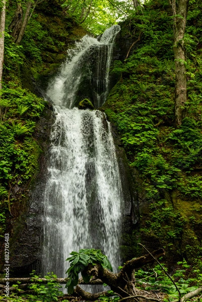 Obraz 上流から激しく流れ落ちる滝
