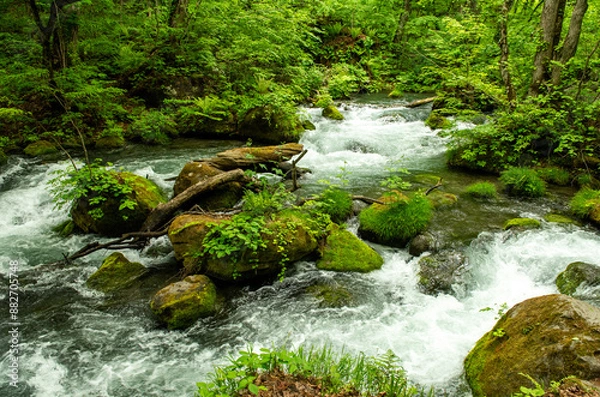 Obraz 激しい水の流れが岩に当たり、白い飛沫が迫力を生む