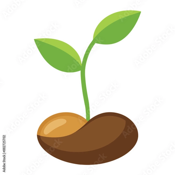 Fototapeta Illustration of simple sprouting seed isolated