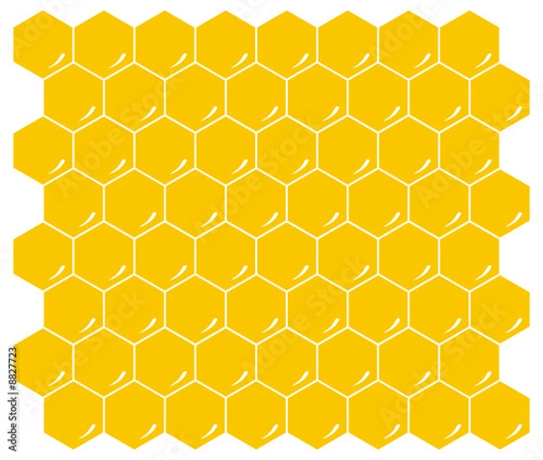 Obraz honeycomb