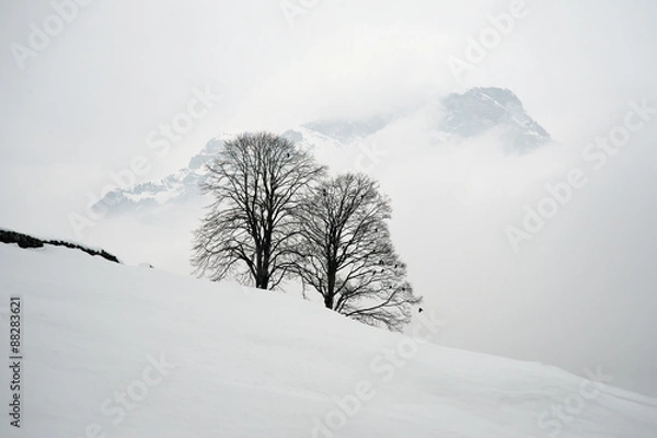 Obraz Winter landscape