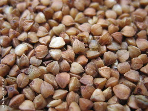 Fototapeta Гречневая крупа