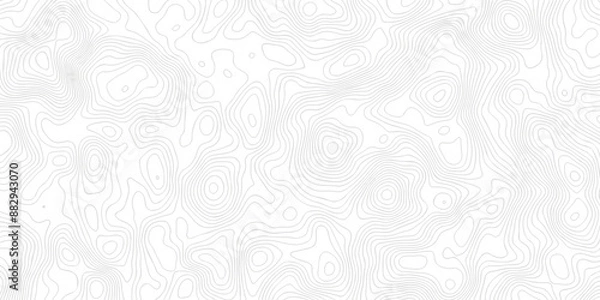 Fototapeta White wave paper curved reliefs abstract background Topographic map patterns. Background of the topography map. Abstract pattern with lines. Contour abstract map relief land outline.