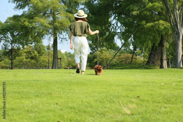Obraz 散歩するダックスフンド