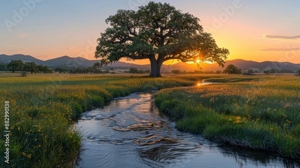 Obraz Majestic oak tree by stream at sunset - generative ai