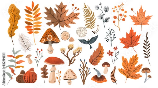 Fototapeta Autumn forest hand drawn elements