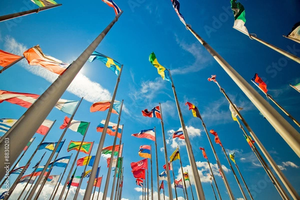 Obraz międzynarodowy 8