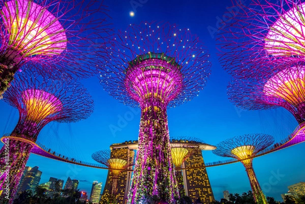 Obraz Supertree w Gardens by the Bay